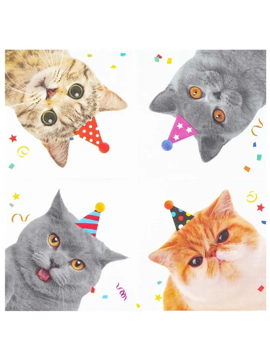 СалфеткаКотикиФотография