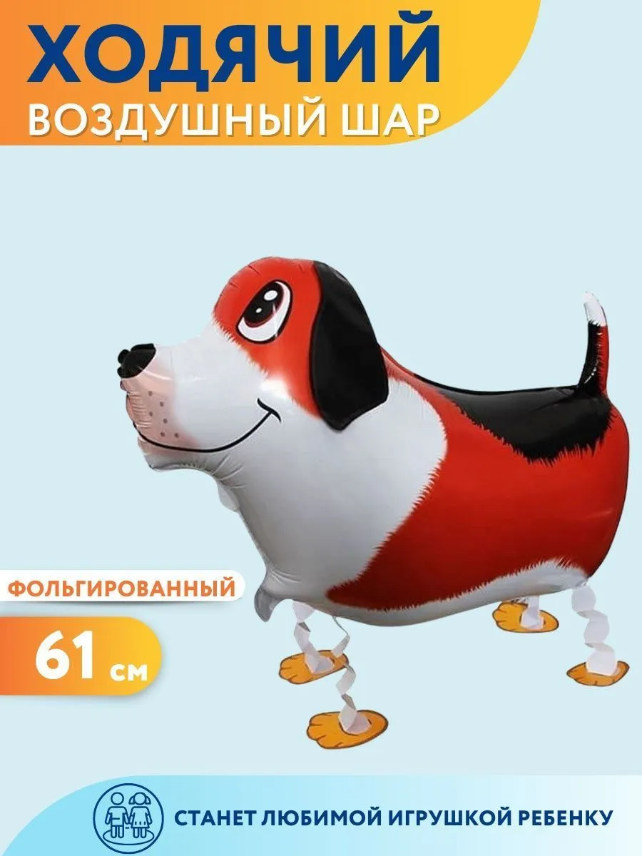Ход033/БИГЛЬ