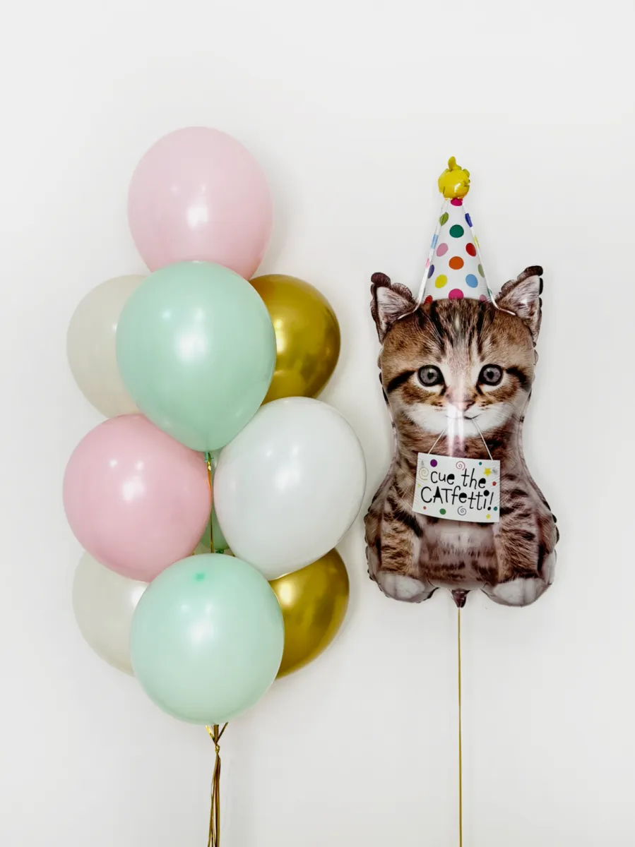 ОБЛАКОДР/КотенокВколопачкеЗолото