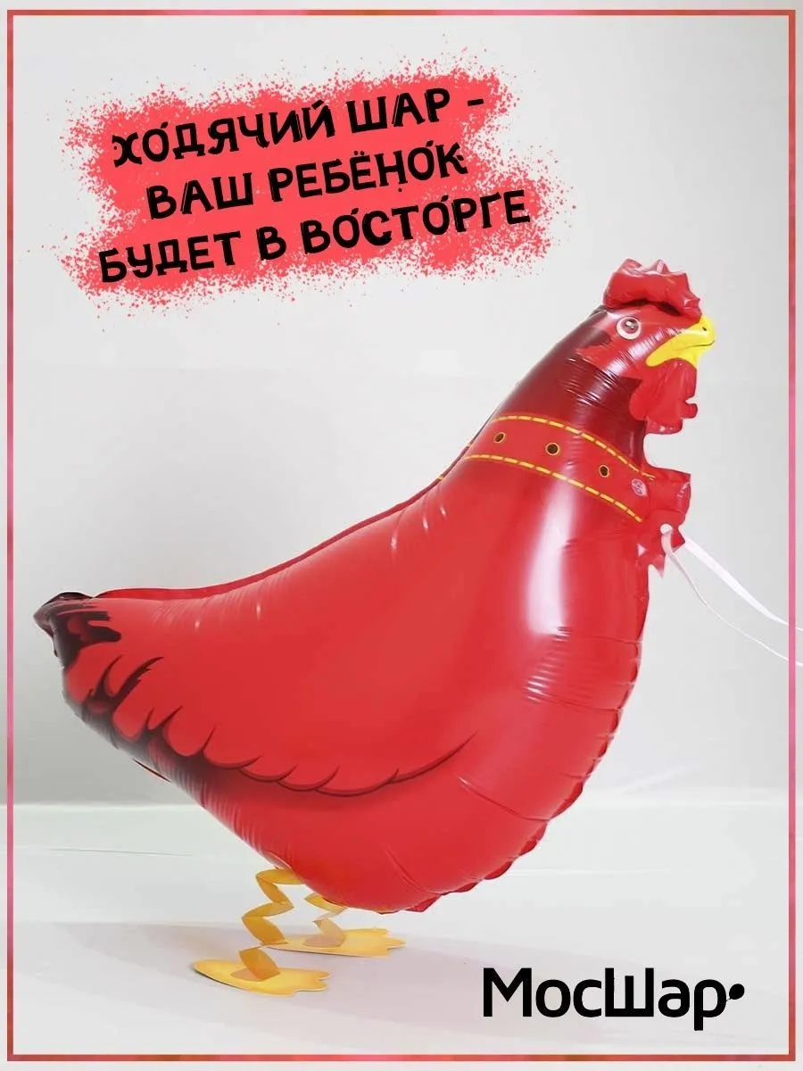Ход008/КУРИЦА
